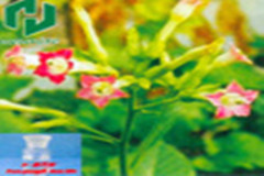 溴丙炔溴丙炔批发维尤纳特长期厂价直销溴丙炔的厂家