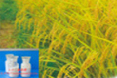 3,4二氟苯腈3,4二氟苯腈批发厂家长期销售维尤纳特