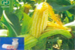 苯达松原药批发厂价长期厂价直销优质苯达松原药