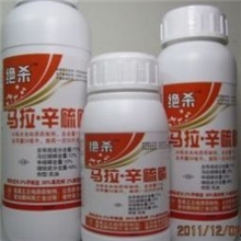 怎么使用杀虫剂是效果更佳河南省原阳县第一农药厂