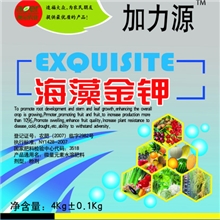 我公司长期现货销售农药加力源海藻金钾高品质