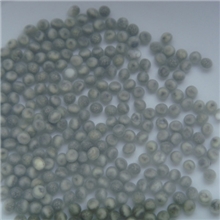 匙吻鲟受精卵鸭嘴鱼受精卵