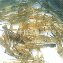 大量供应--清江青虾，不同规格。冰虾，风干虾，活虾。