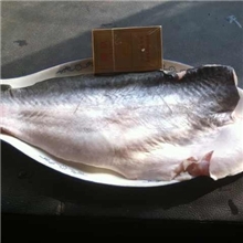 供应优质越南鳕鱼