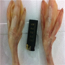 厂家优质供应原汁大鹅掌