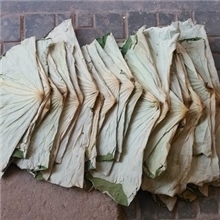 产地直销干荷叶片荷叶减肥茶荷叶鸡荷叶饭荷叶木桶饭