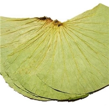 产地直销新出干荷叶江西荷叶干莲叶特级精选