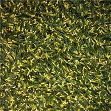 产地直销特级无硫磺莲子芯莲芯清热下火益肾养心2013年新货