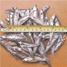 供应批发小干鱼咸鱼腊鱼干鱼鱼