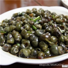 洪湖《野生》小田螺