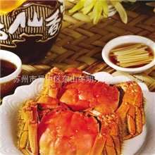 闻名全国苏州太湖大闸蟹上市苏州特产大闸蟹