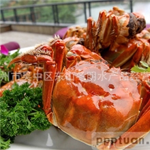 预售大闸蟹正宗太湖大闸蟹自产自销2.2&mdash;2.6两10个