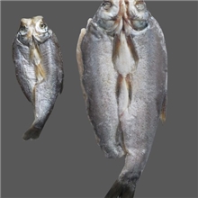 东山冬明供应太湖水产品白鱼干