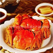 供应正宗太湖大闸蟹雌雄对蟹自产自销新鲜供应