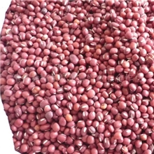 批发零售农家自产红小豆-
