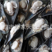 产地直销-速冻江珧贝/带子（火锅必备/冷冻系列/原汁原味/酒店）