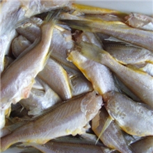 去头去脏黄花鱼（火锅烧烤必备/冷冻系列/原汁原味/酒店食材）