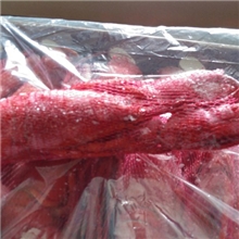 熟冻波士顿小龙虾价格优惠全城热卖