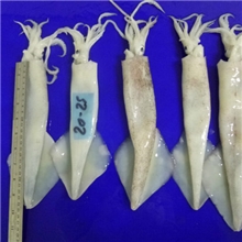 整条加州笔管鱼100%净重，1-2%的长重