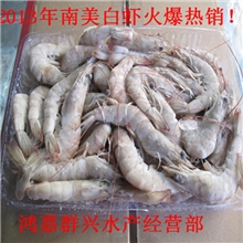 2013年冷冻南美白虾大量上市规格齐全保证质量海白虾
