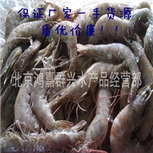【超低价一级南美白虾】冻白虾批发厂家直销青虾对虾21-25