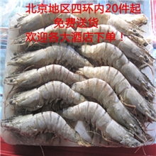 越南进口草虾日本寿司食材酒店特色规格10-1225g/只