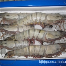 供应【水产虾类】各种规格草虾海捕对虾礼品盒装粤菜用料理用