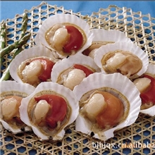 供应半壳日月贝冷冻扇贝柱冻半壳扇贝日本料理烧烤用大连产