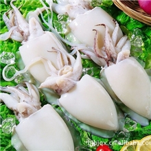 冷冻去肠墨鱼仔批发酒店专用日本料理用自助餐用籽乌