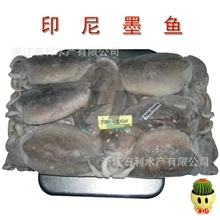 【批发供应】印尼目鱼700-1,000克高质量墨鱼软体冰冻海鲜