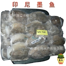 供应批发墨鱼300-500克印尼进口冰冻墨鱼长期稳定发货