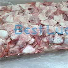 越南进口巴沙鱼鳍