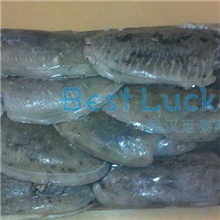 泰国进口冷冻墨鱼墨鱼