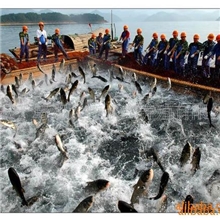 寻求承包大型水库欢迎来电洽谈合作