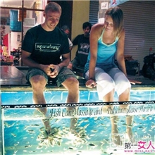 联民公司整年批发温泉鱼