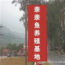 整年批发温泉鱼