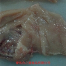 青島合之源：鸡排大鸡排台湾香鸡排带骨鸡排生产销售