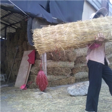 广州稻草帘批发出售供应冷库专用西瓜运输稻草帘（禾秆）