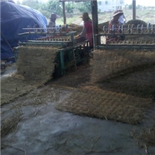 长期大量批发清远垫冬瓜用稻草帘（禾秆）-清远稻草帘