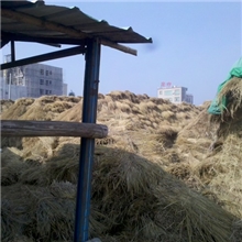 广东广州及珠三角范围内长期大量低价批发稻草帘（禾秆）