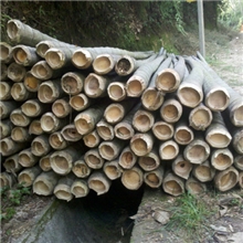 广州市范围内长期大量低价现货批发做蒸笼用毛竹（茅竹）