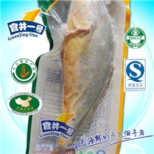无公害大黄鱼600g宇辉官井一号福建宁德水产出口外贸