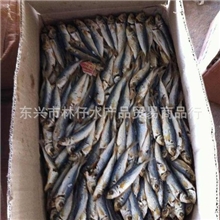 池仔鱼大量供应