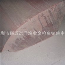 供应顶级鱼生刺身原料--超低温北方南鳍金枪鱼赤身背肉（-60度）