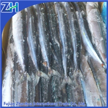 冷冻启牌秋刀鱼多规格质优112905海产品