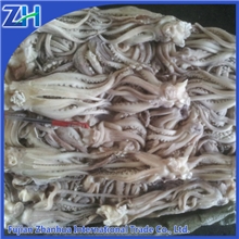 冷冻阿根廷鱿鱼头多规格质优112903海产品