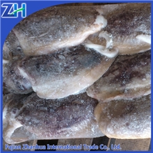 冷冻西非大墨鱼质量好112902海产品