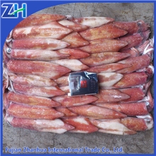 冷冻印尼红鱿鱼3，4，5号102224海产品
