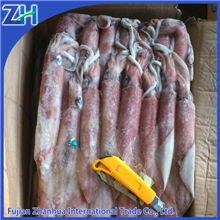 冷冻印尼红鱿鱼多规格质优102810海产品