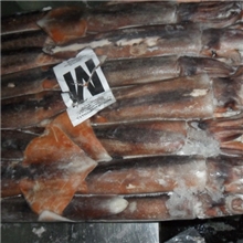 长期供应阿根廷鱿鱼